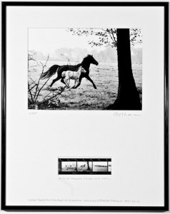 Edition II | 20 x 30 Fine Art Print im Rahmen 40 x 50 cm