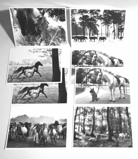 Peter Thomann mit Postkarten-Set